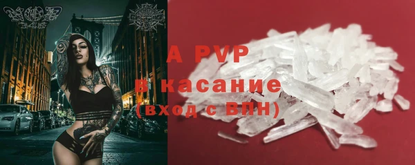 СК Елизово