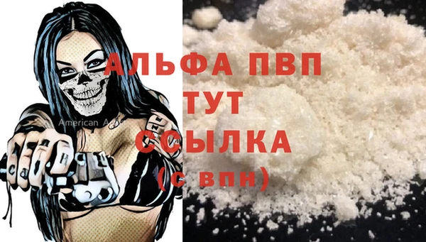 СК Елизово