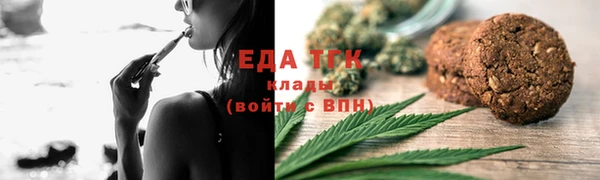 СК Елизово