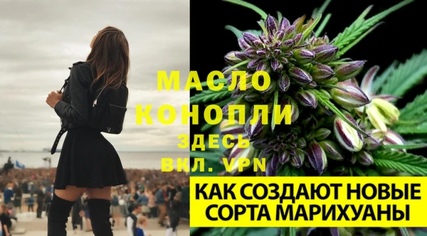 spice Елабуга