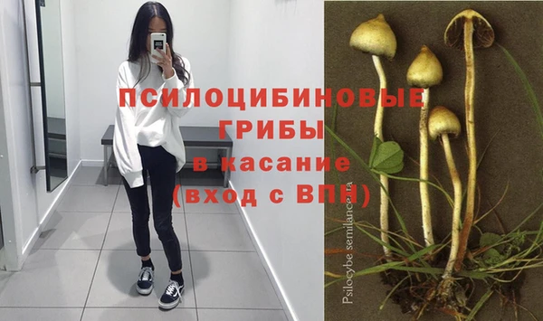каннабис Ельня