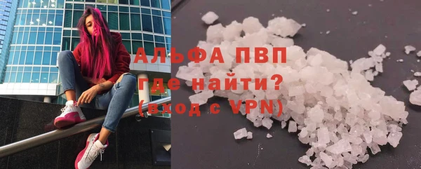 СК Елизово
