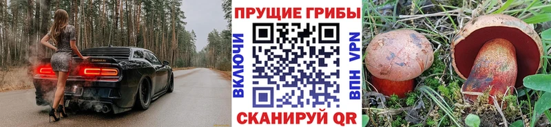 Купить закладки  Грязи  Псилоцибиновые грибы Cubensis 